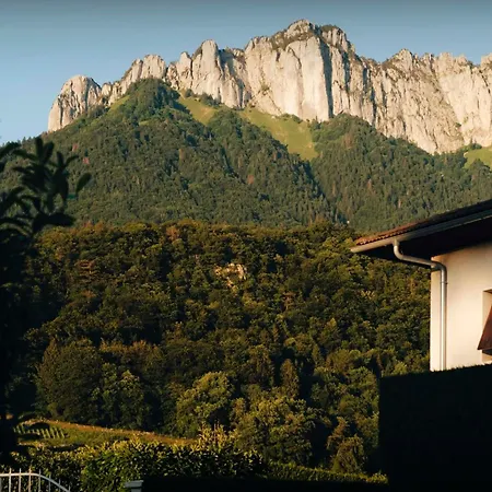 Le Cep - Ovo Network Villa