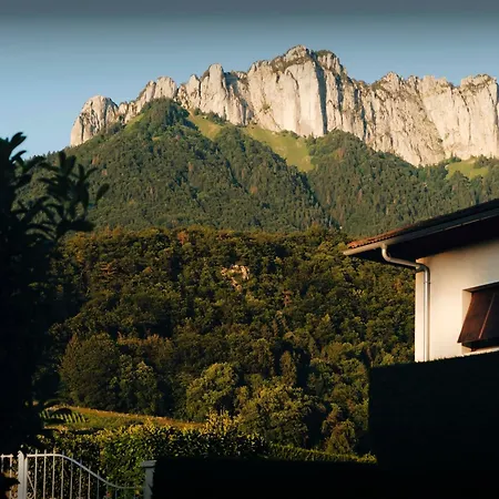 Le Cep - Ovo Network Villa